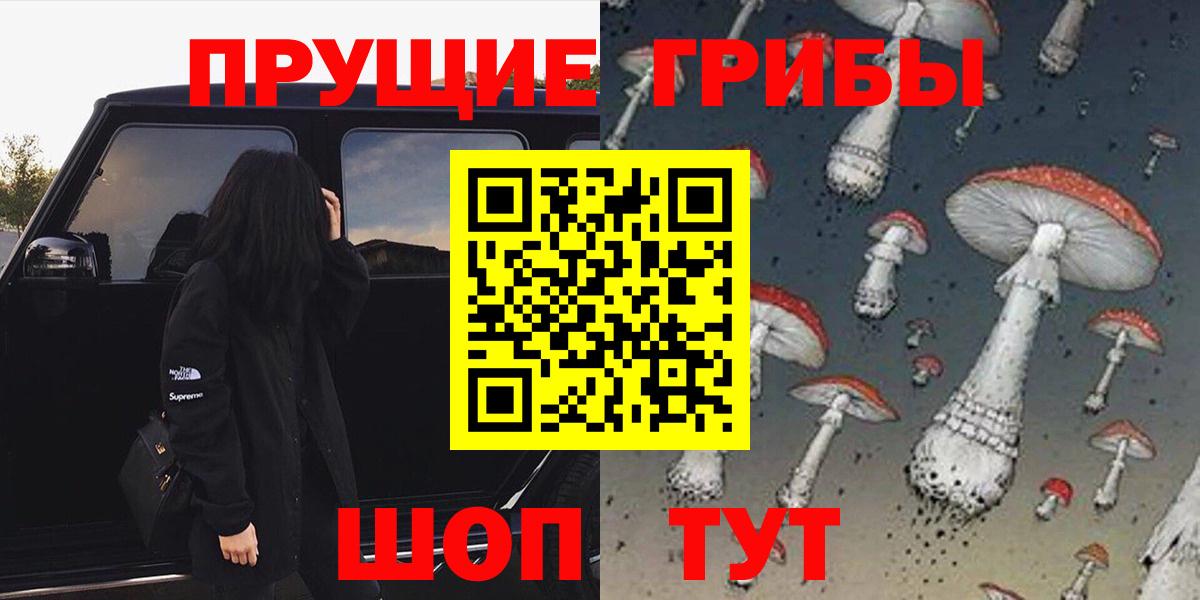 Великие Луки  Псилоцибиновые грибы Psilocybe  Вход с VPN 